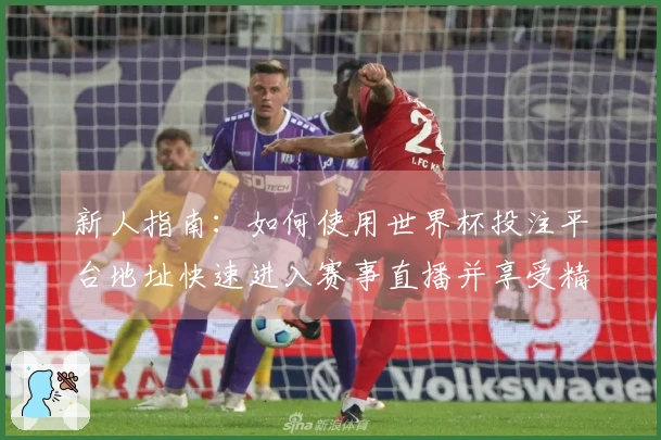 新人指南：如何使用世界杯投注平台地址快速进入赛事直播并享受精彩体验