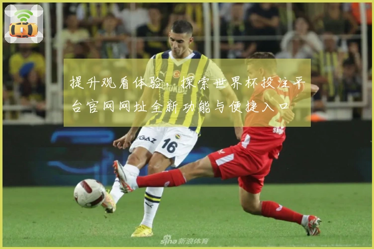 提升观看体验，探索世界杯投注平台官网网址全新功能与便捷入口