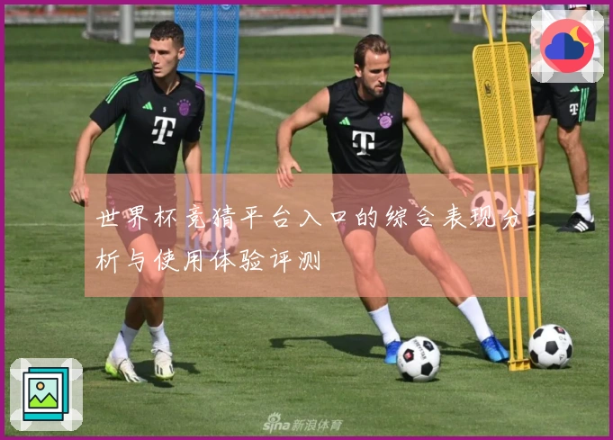 世界杯竞猜平台入口的综合表现分析与使用体验评测