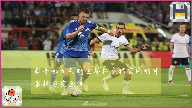 新手如何判断世界杯竞猜官网的可靠性与安全性