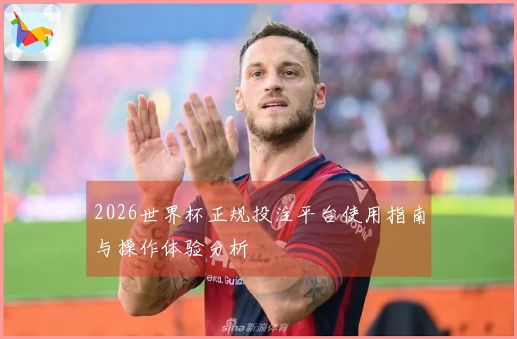 2026世界杯正规投注平台使用指南与操作体验分析