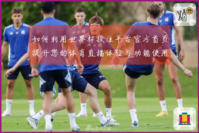 如何利用世界杯投注平台官方首页提升您的体育直播体验与功能使用指导