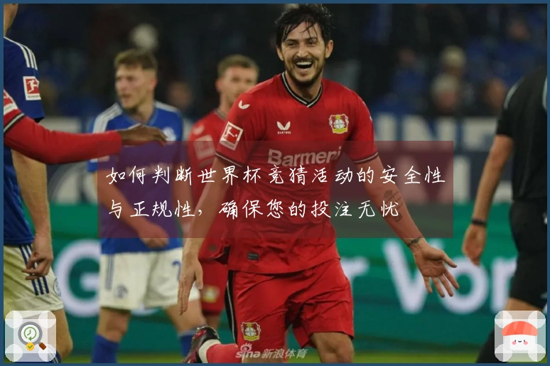 如何判断世界杯竞猜活动的安全性与正规性，确保您的投注无忧