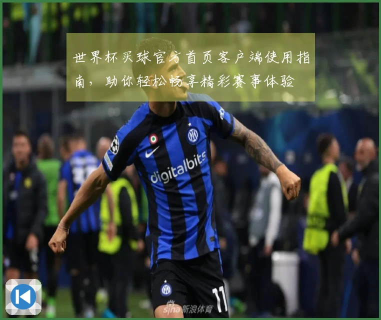 世界杯买球官方首页客户端使用指南，助你轻松畅享精彩赛事体验