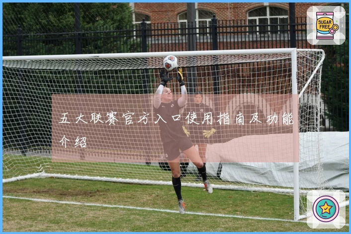 五大联赛官方入口使用指南及功能介绍