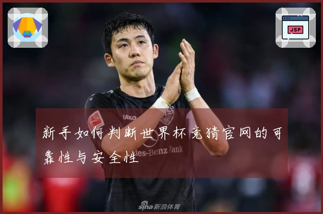 新手如何判断世界杯竞猜官网的可靠性与安全性