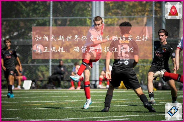 如何判断世界杯竞猜活动的安全性与正规性，确保您的投注无忧