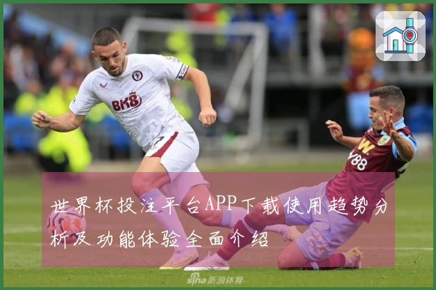 世界杯投注平台APP下载使用趋势分析及功能体验全面介绍