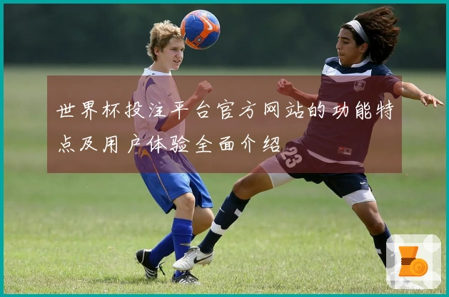 世界杯投注平台官方网站的功能特点及用户体验全面介绍